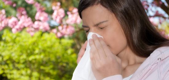 Home remedies for Allergies : Ayurved Doctor